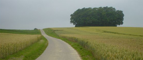 La chaussée romaine aux abords du tumulus d'Hottomont (Eghezée)