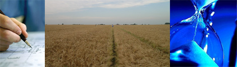 Etude d'incidence du projet éolien de la plaine de Boneffe (Eghezée)