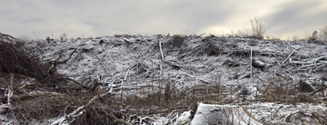 Paysage dévasté :: un patrimoine à préserver