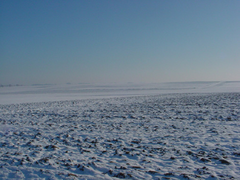 La plaine de Boneffe sous - 10° ce 10 janvier 2009