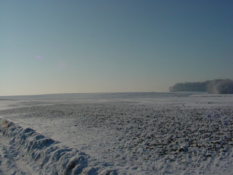 La plaine de Boneffe sous - 10° ce 10 janvier 2009