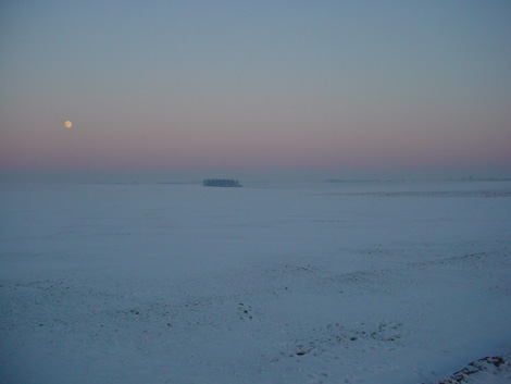 La plaine de Boneffe sous - 10° ce 10 janvier 2009 au coucher su soleil