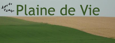 Logo de Plaine de Vie