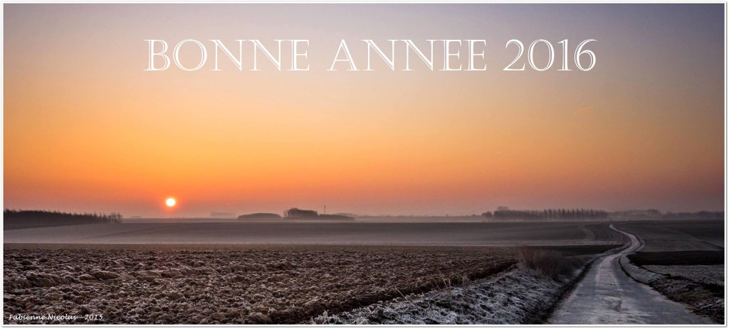 Plaine de Boneffe - Voeux 2016 de Plaine de Vie