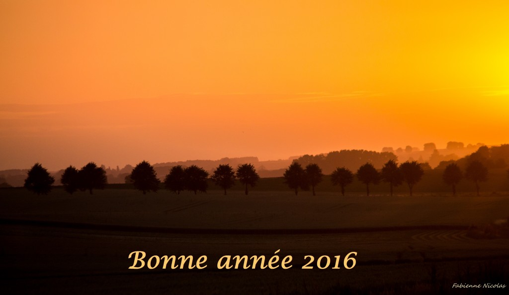 Plaine de Boneffe - Voeux 2016 de Plaine de Vie