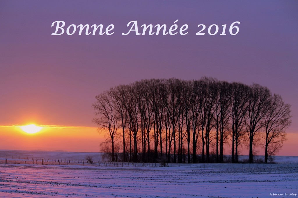 Plaine de Boneffe - Voeux 2016 de Plaine de Vie