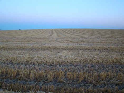 La Plaine de Boneffe après la moisson